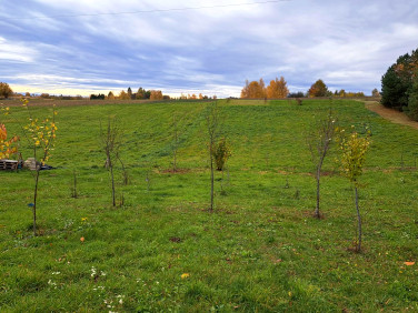 Działka Szczodrkowice