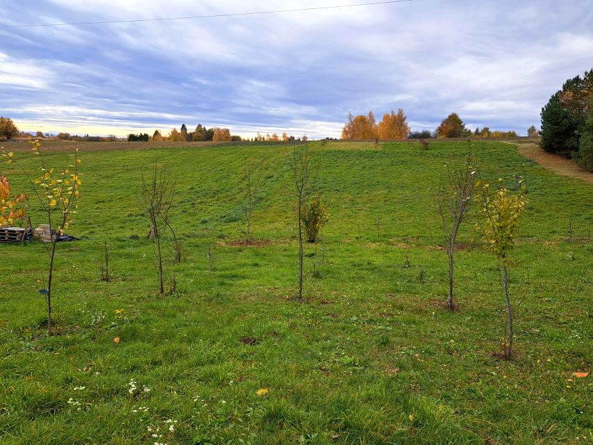 Działka Szczodrkowice