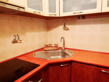 Mieszkanie Tarnów wynajem