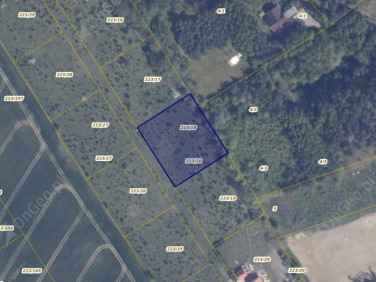 Działka rolna Warcz