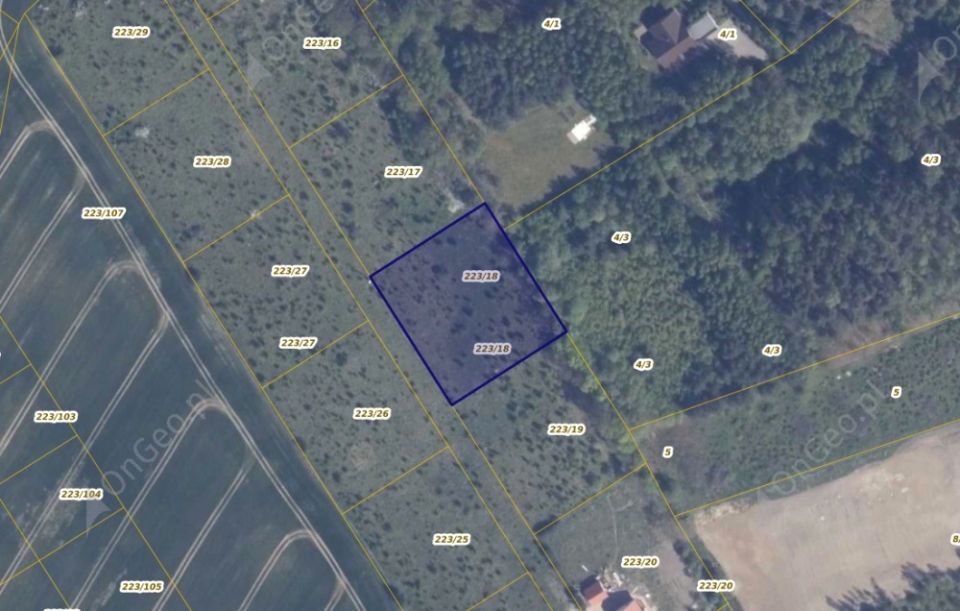 Działka rolna Warcz