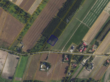 Działka budowlana Kamienica