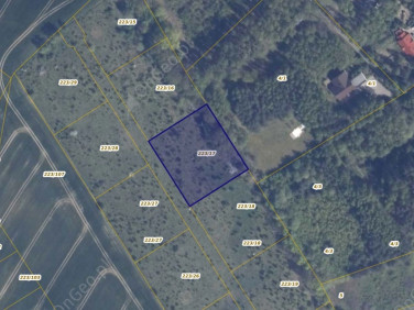 Działka rolna Warcz