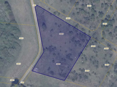 Działka budowlana Ełganowo