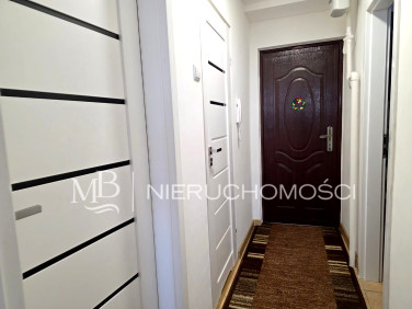 Mieszkanie Rybnik wynajem