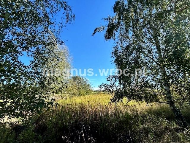 Działka budowlana Miłoszyce