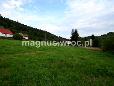 Działka Ludwikowice Kłodzkie