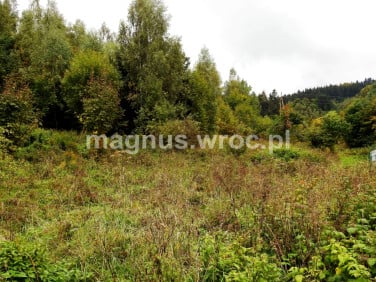 Działka budowlana Łomnica sprzedam