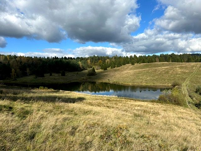 Działka rolna Czarna Dolna