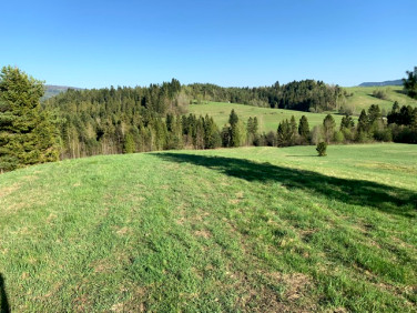 Działka rolna Czarna Dolna