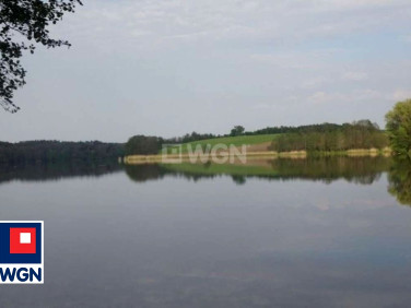 Działka leśna Radoszki