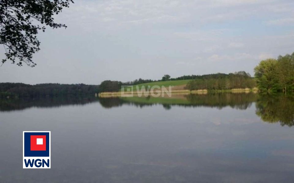 Działka leśna Radoszki