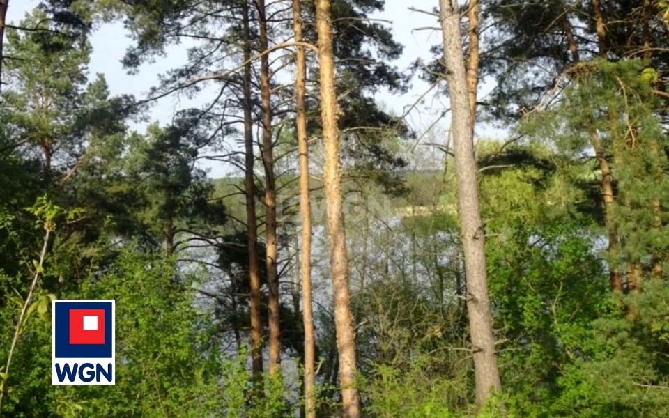 Zdjęcie 3