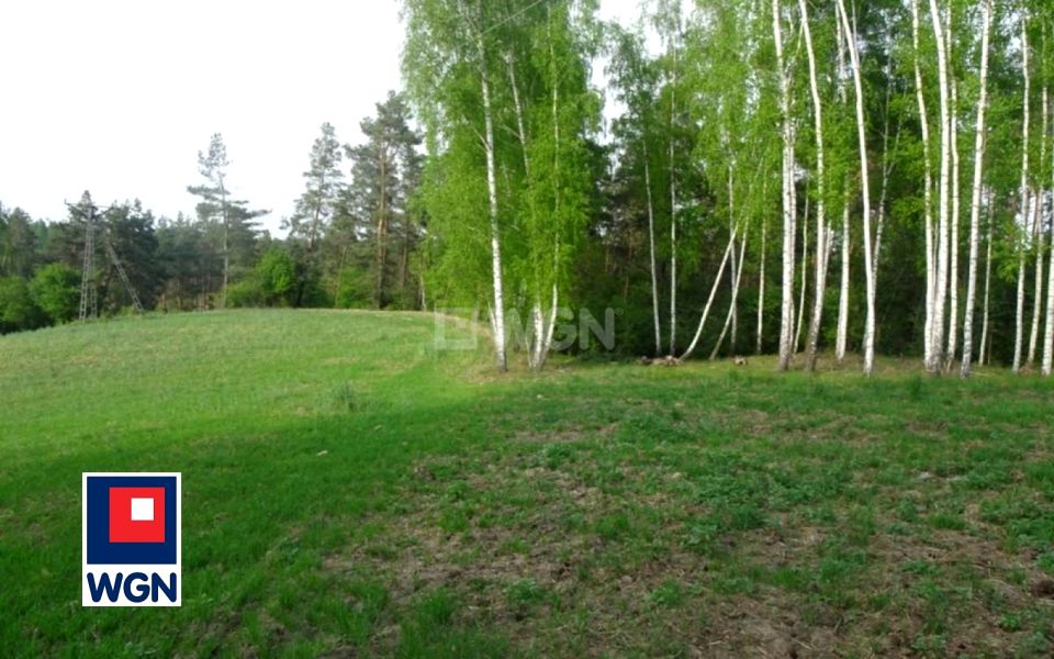 Zdjęcie 2