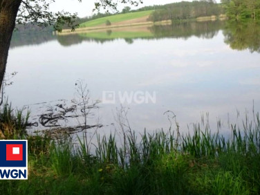 Działka leśna Radoszki