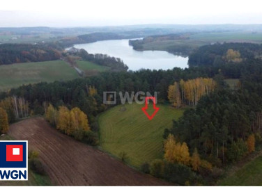 Działka leśna Radoszki sprzedam