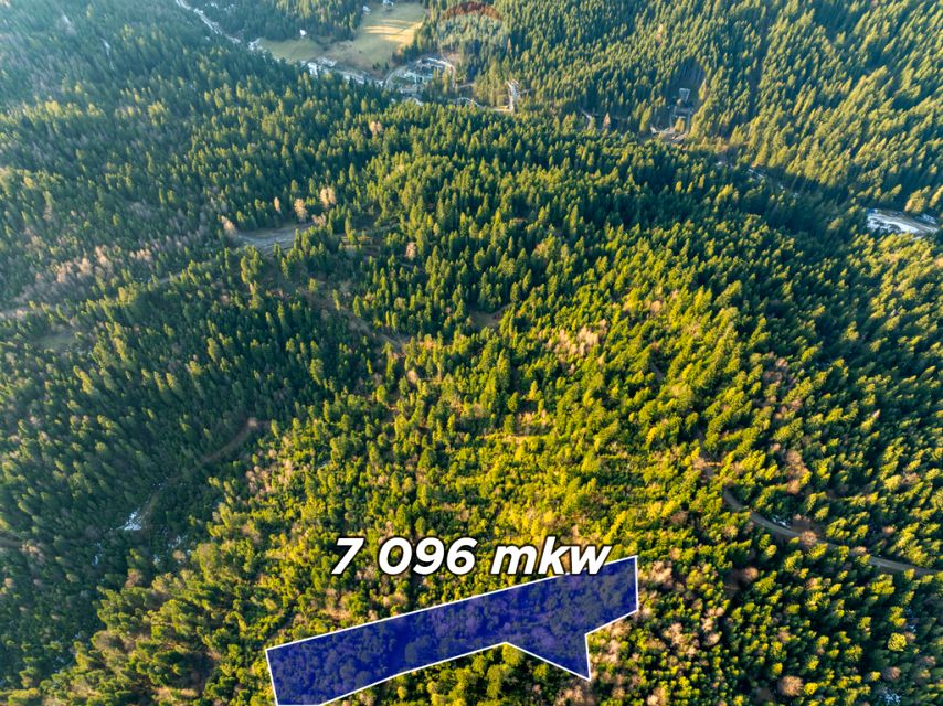 Działka leśna Ostrowsko