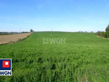 Działka budowlana Rak