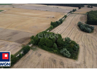 Działka budowlana Konojady