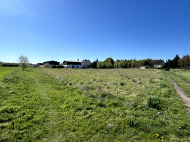 Działka inwestycyjna Tarnówko