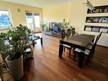 Mieszkanie Szczecin sprzedaż