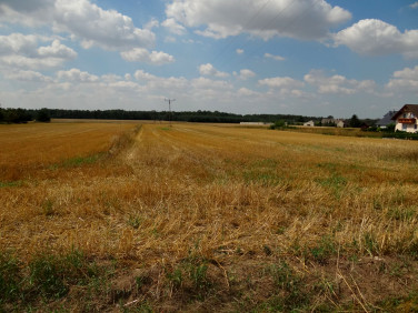 Działka budowlana Ligota Prószkowska