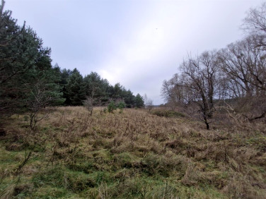 Działka rekreacyjna Borowy Młyn