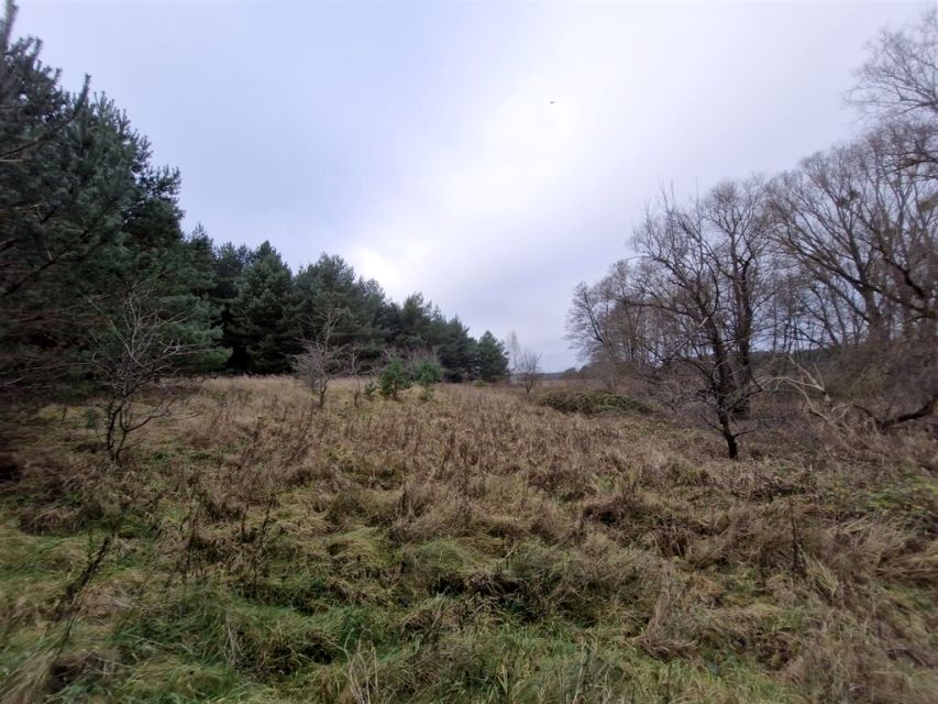 Działka rekreacyjna Borowy Młyn