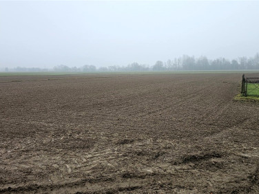 Działka inwestycyjna Pierzchów