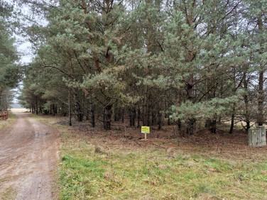 Działka rekreacyjna Borowy Młyn