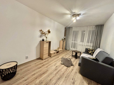 Mieszkanie Poznań wynajem