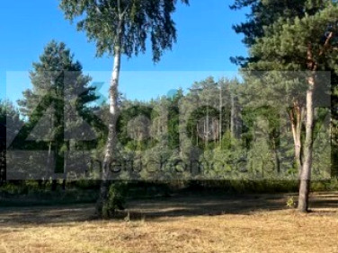 Działka Władysławów