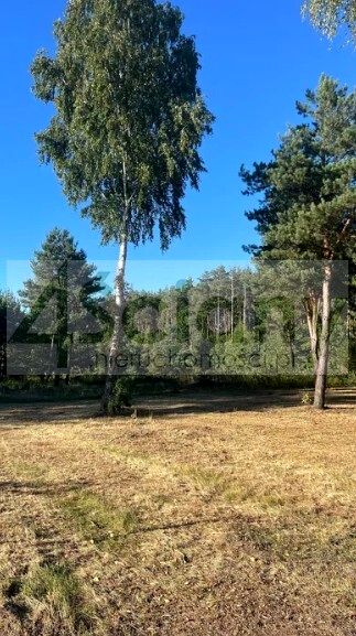 Działka Władysławów