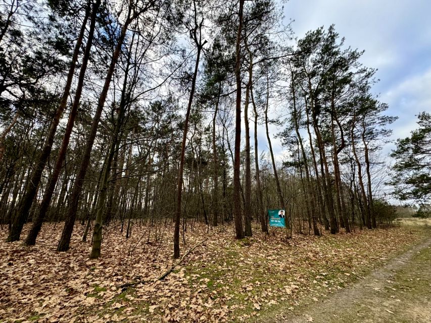 Działka Romanów