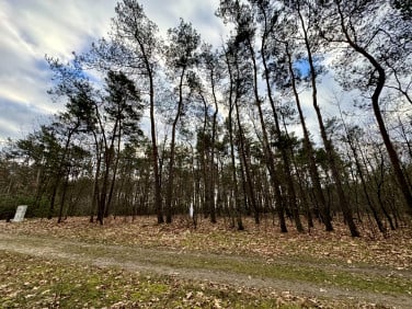 Działka budowlana Romanów sprzedam