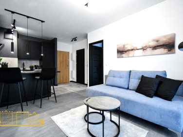 Mieszkanie Kraków wynajem