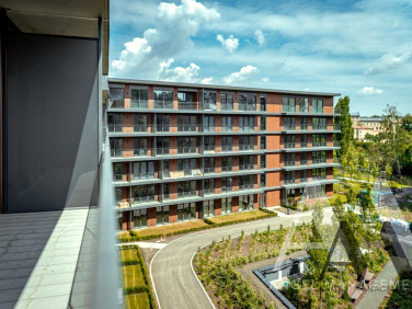 Mieszkanie Kraków wynajem