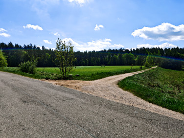 Działka Dźwierzuty