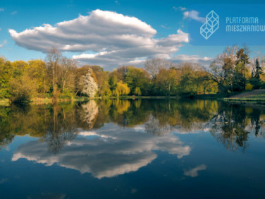 Mieszkanie blok mieszkalny przy lesie