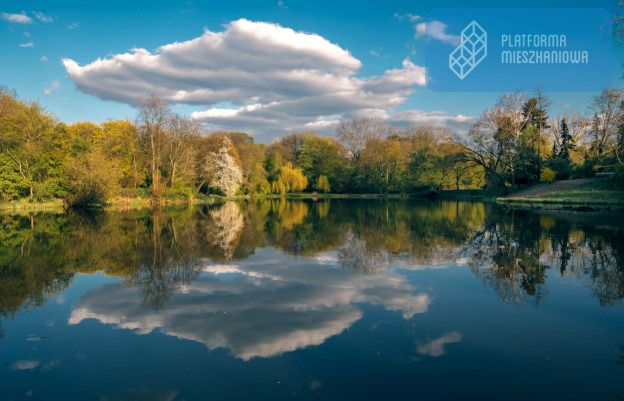 Mieszkanie blok mieszkalny przy lesie