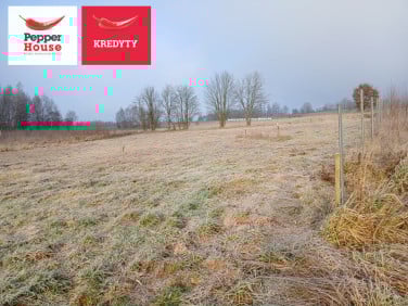 Działka budowlana Kolonia