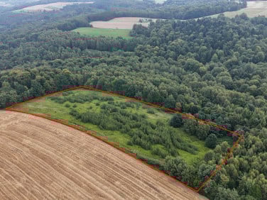 Działka rolna Nowa Wieś