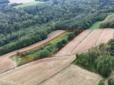 Działka rolna Nowa Wieś