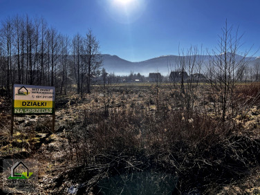 Działka budowlana Ściegny