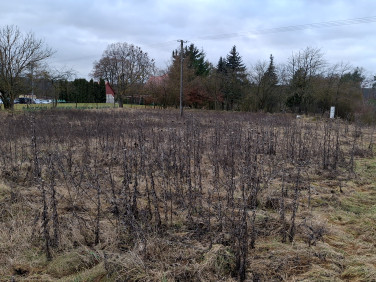 Działka budowlana Chomiąża Szlachecka