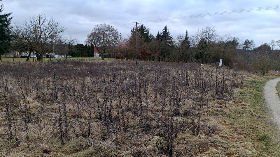 Działka budowlana Chomiąża Szlachecka