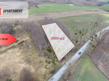 Działka inna Łąsko Małe