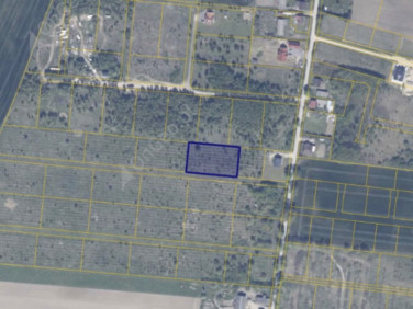 Działka rolna Gołębiewo Wielkie