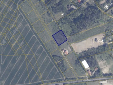 Działka rolna Warcz