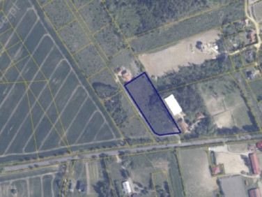 Działka rolna Warcz